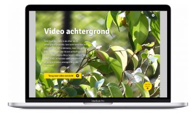 Video - video achtergrond