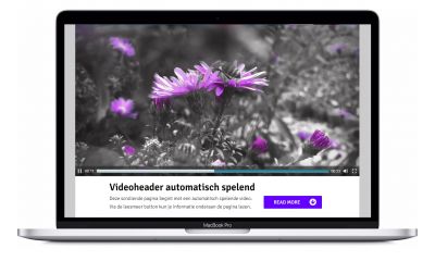 Video - video header